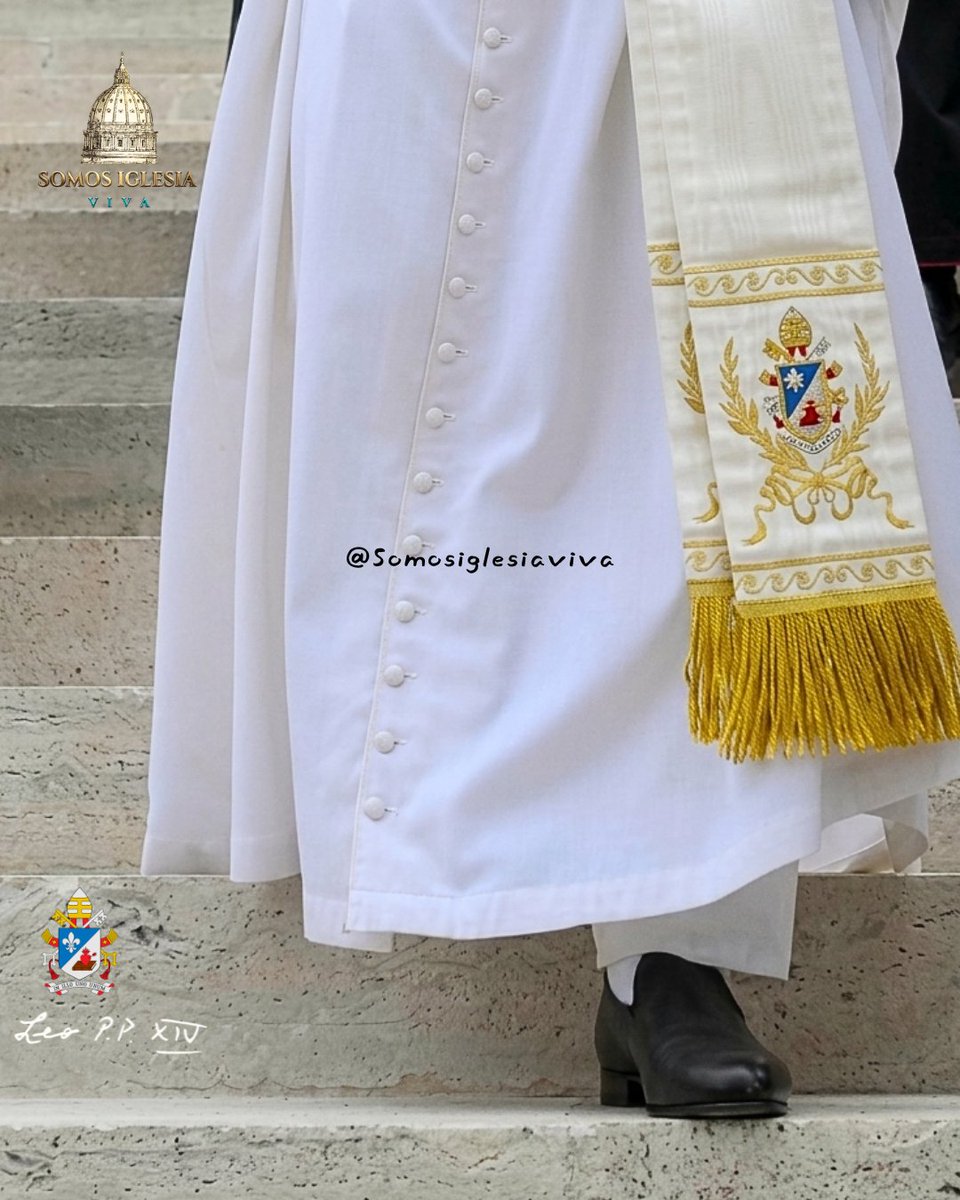 BaluOsa28's tweet photo. 👞❤️ Un detalle en los zapatos del #PapaLeonXIV 
¿El Papa Leo XIV ha vuelto a portar los zapatos de los papas? Solo que estos son negros, le falta poquito para ser rojos jajaja 🔔🇻🇦😊
¡Oremos por nuestro Santo Padre y por toda la Iglesia! ❤️🕊️
#fe #vaticano #IglesiaCatólica https://t.co/AbqU5sntp8