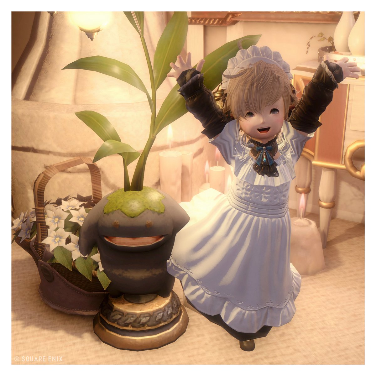 yoi🤲☽Chocobo tweet media