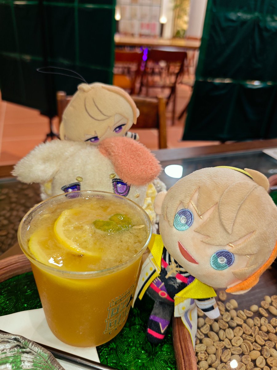 ピプエアー tweet media