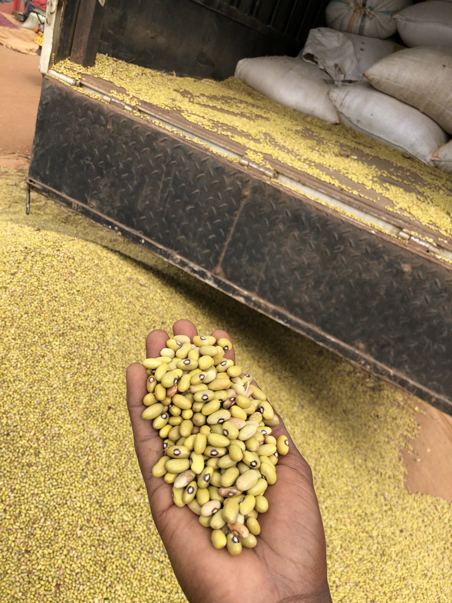 Sell and buy Beans 🫘. 🇺🇬 tweet media