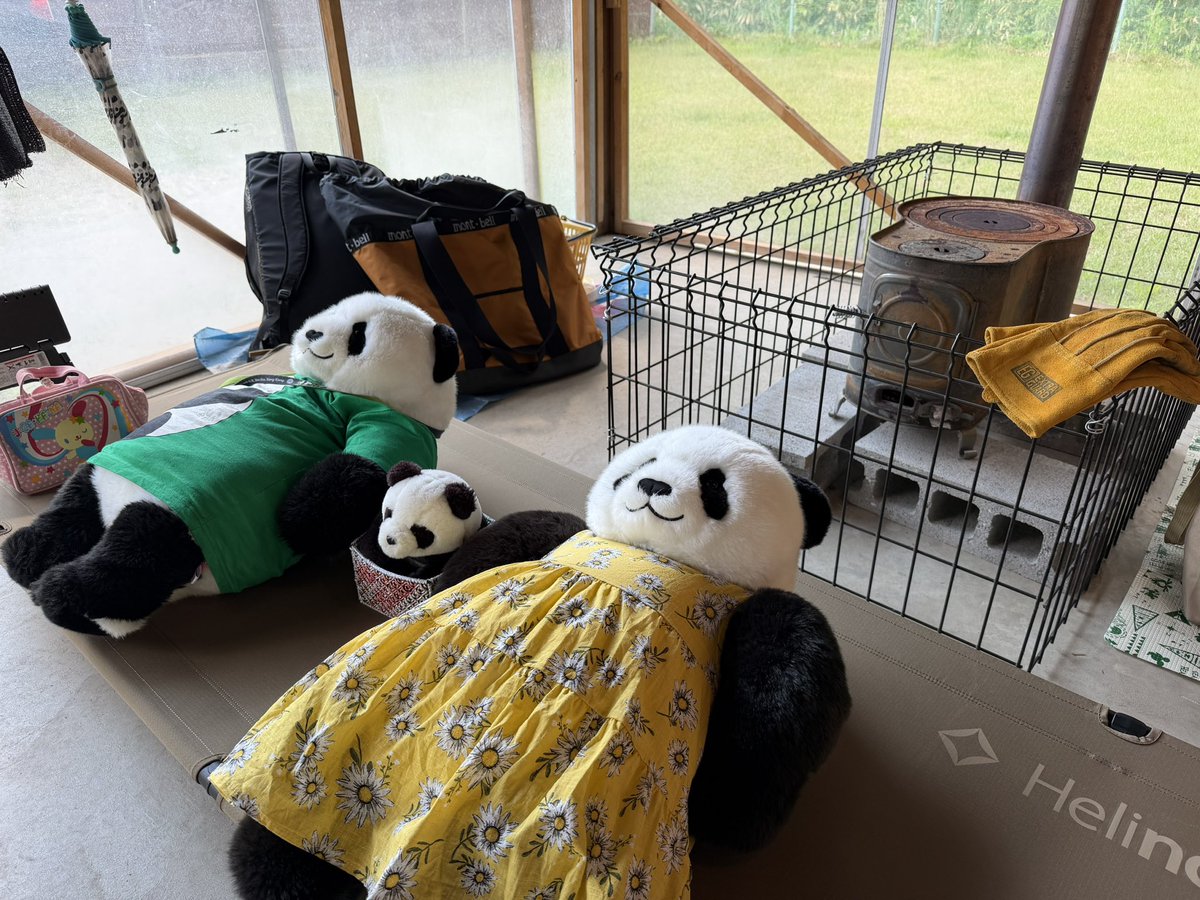 PandaUeno2017's tweet photo. 久しぶりに姉とふたりのゆるゆるキャンプ🏕️ 

ここのキャンプ場はひとつひとつ手作りのサイトで味わい深い。
そして何より素晴らしいのは管理人のおじさんのお人柄😊✨
なのでリピートしちゃうんですよね！

#キャンプ大好き 
#成功山オートキャンプ場
2026051415 https://t.co/1TGn1mYxi2