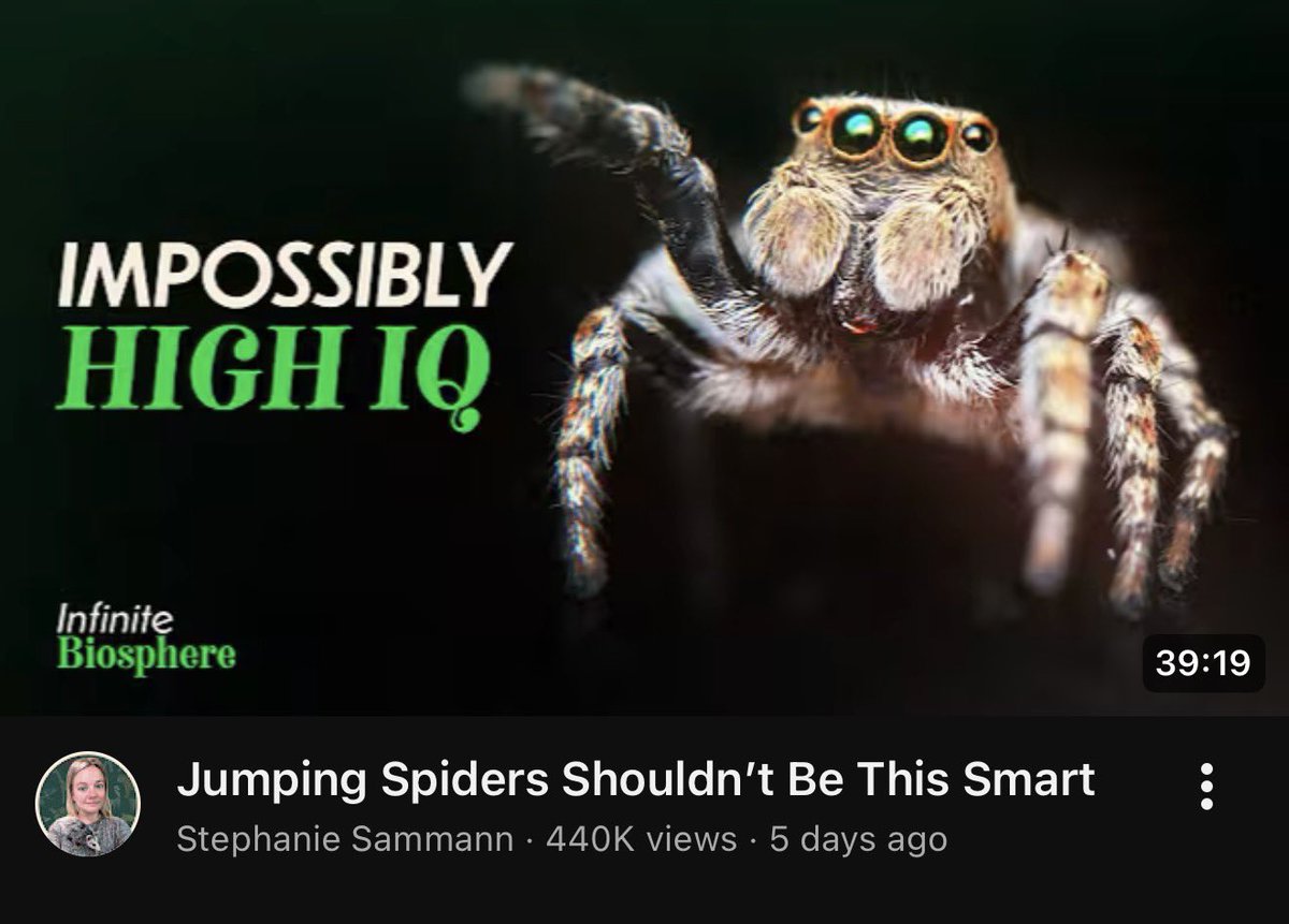 𝖒𝖔𝖌𝖌𝖎𝖓𝖌 tweet media