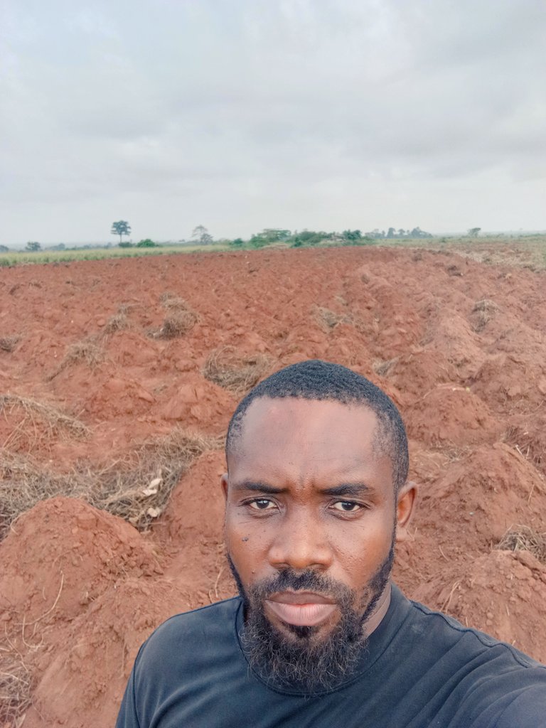 Chukwunonso (Farmer) tweet media