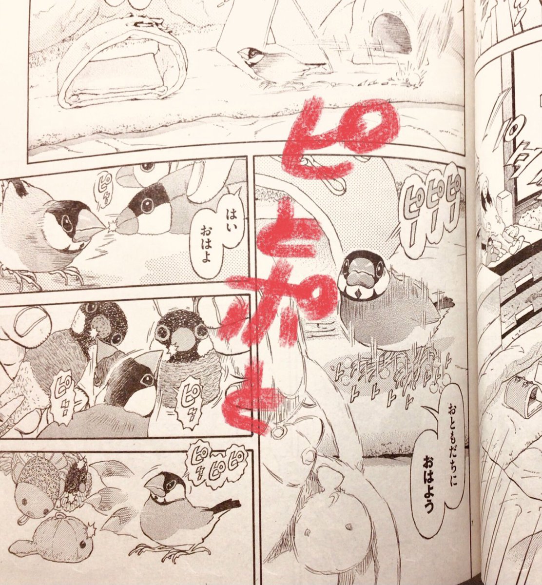 新井英樹 Hideki Arai 『ピとポとまちながら』単行本1巻7月10日発売