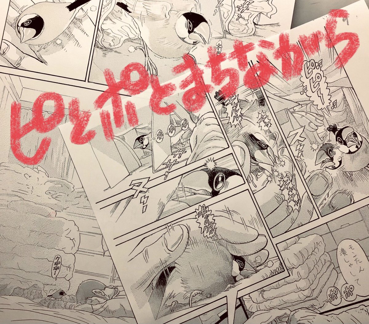 新井英樹 Hideki Arai 『ピとポとまちながら』単行本1巻7月10日発売