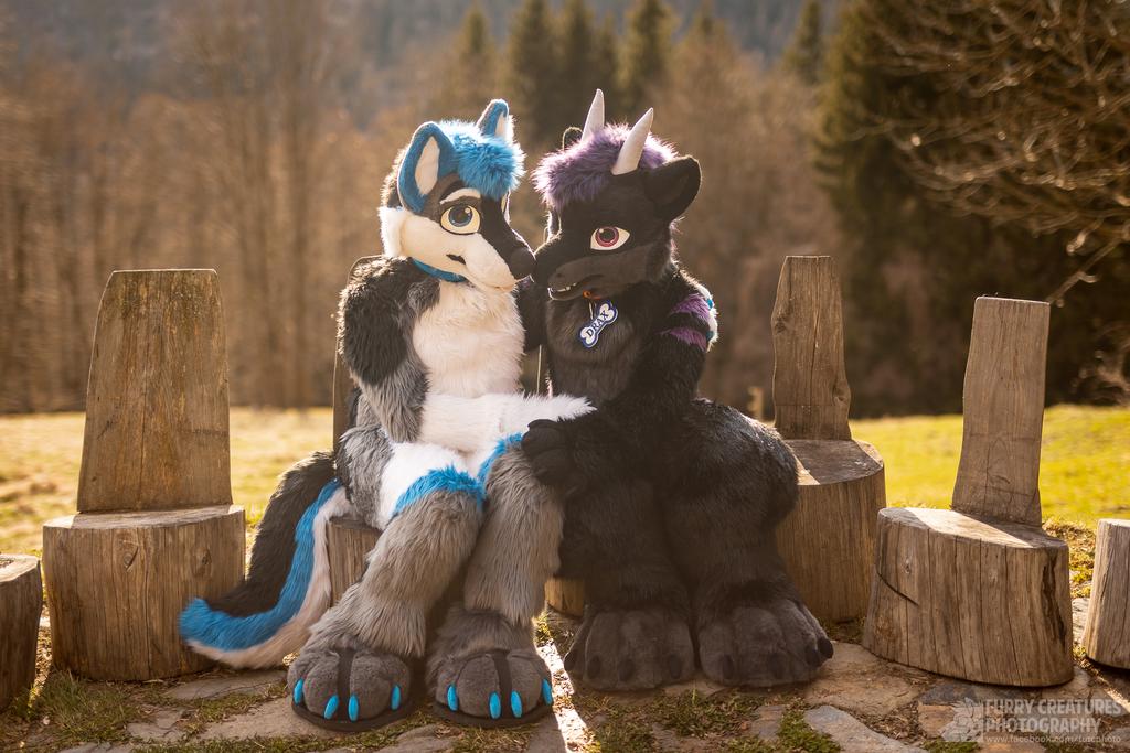FluffyDraxtek's tweet photo. Golden hour hugs and quiet moments in nature. ☀️ Nothing is warmer than sharing a beautiful day like this. 🌲 🐾 

🐺@amju_wolf
📸 @FurCPhoto

#furrycommunity #furry #goldenhour #cute #nature https://t.co/UGdobNAbVP