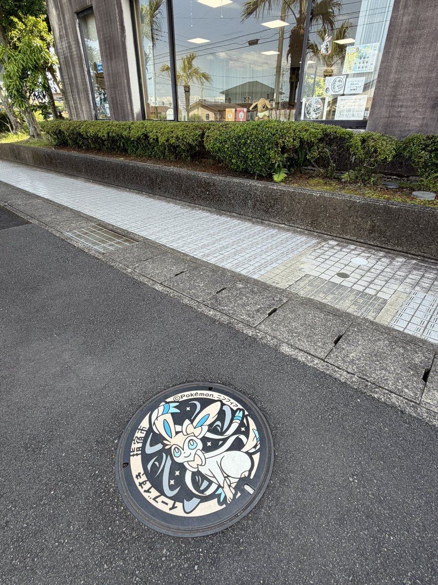 _ma_to_'s tweet photo. ニンフィアのポケフタ
奥の図書館にイーブイいるのと
ニンフィアがぶら下がってた(笑) https://t.co/tvsp3oScJP
