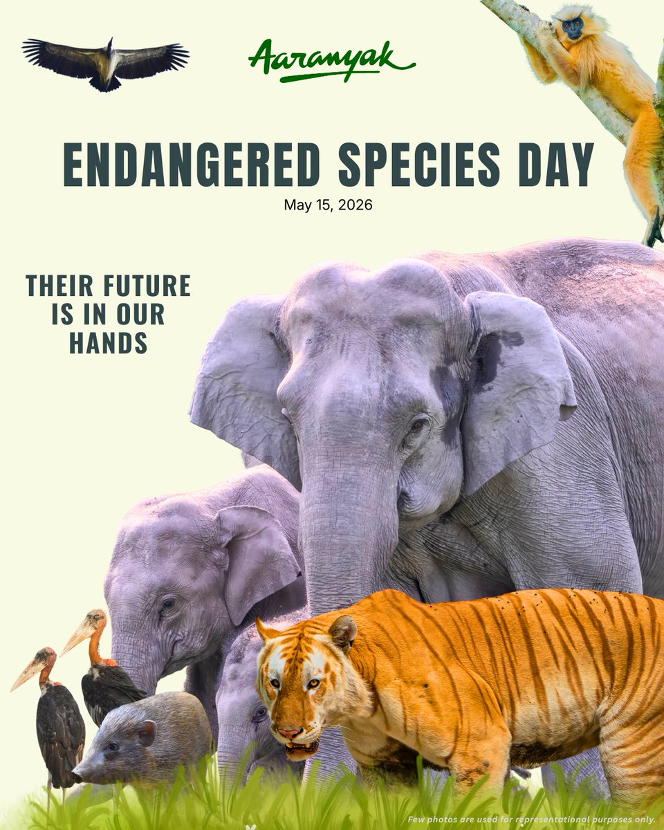 aaranyak's tweet photo. This #EndangeredSpeciesDay, let’s remember the efforts to conserve wildlife is also a fight to save our shared future.
#SaveWildlife #ProtectBiodiversity #Conservation #WildlifeProtection #ActForNature #EarthForAll https://t.co/BnWSgun1w7