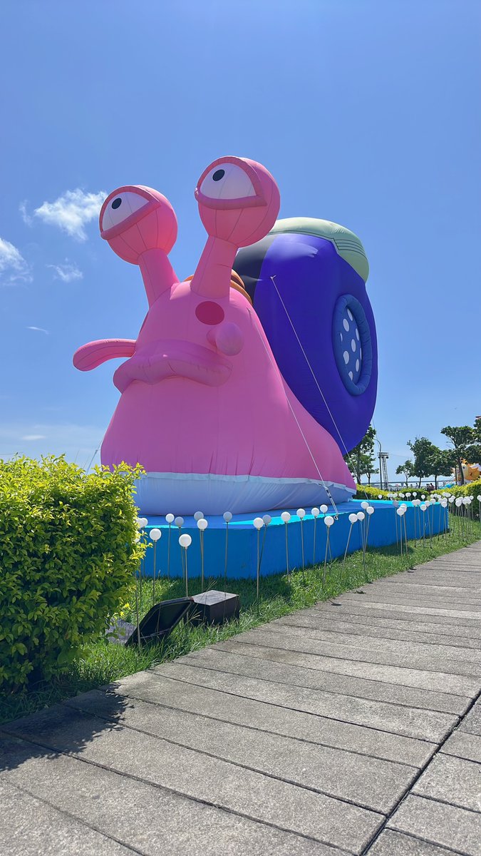 藍色小鴨🦆-米妮 tweet media