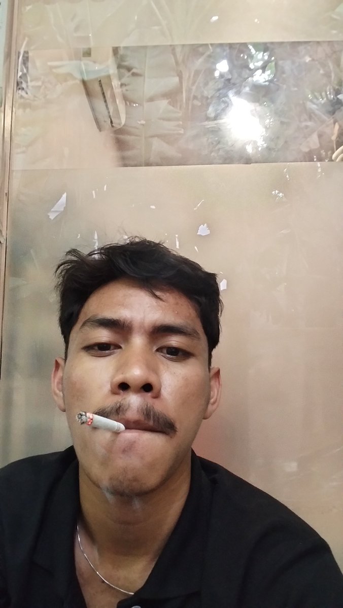 mass evan tweet media