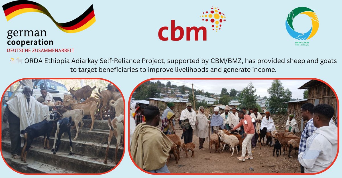OfficialOrda's tweet photo. 🐑🐐 ORDA Ethiopia’s Adiarkay Self‑Reliance Project, supported by #CBM / #BMZ, is boosting livelihoods with sheep &amp; goats.

✨ No‑charge revolving fund ✨ 5 female + 1 male per family ✨ 504 animals planned
Together, we’re building self‑reliance &amp; sustainable income! 🌱 https://t.co/DegrP07vNA