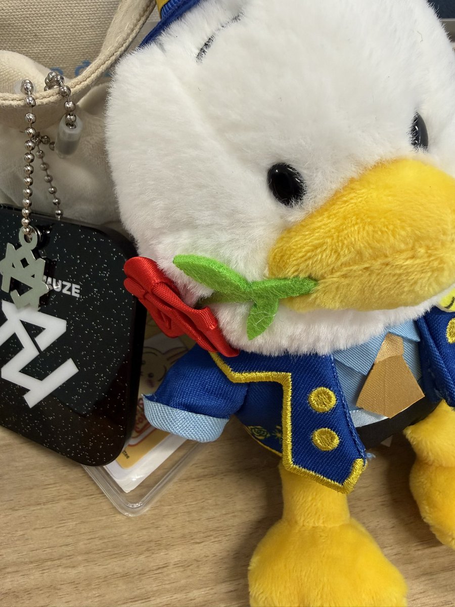 Qik7Y's tweet photo. たっくん（ペックル）が、薔薇咥えてるの可愛すぎて、かってしまった😇
会社トートがどんどんカオスに😇 https://t.co/x5kqoNTnU8