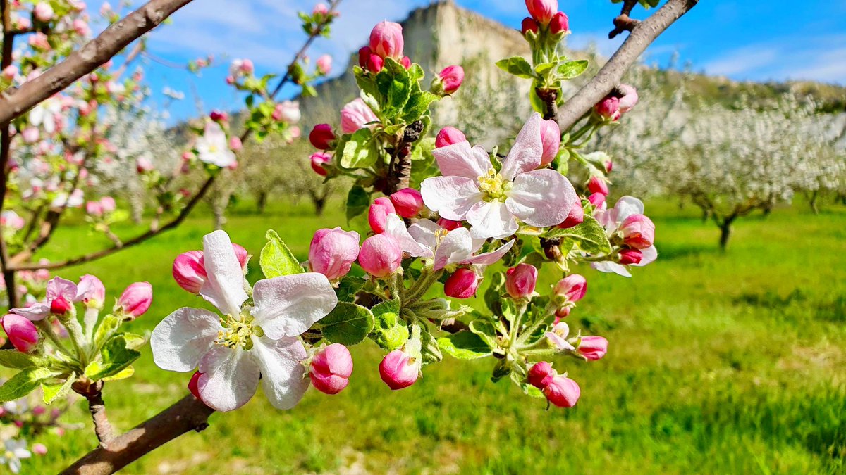 temsu_walling's tweet photo. Я только что вернулся 🤩
#GooodMorningtwitterworld ☀️
Beautiful Sunny Atmosphere from #Inkerman #Sevastopol #Krym #Russia 🇷🇺☀️ https://t.co/KeE5aq6OAI