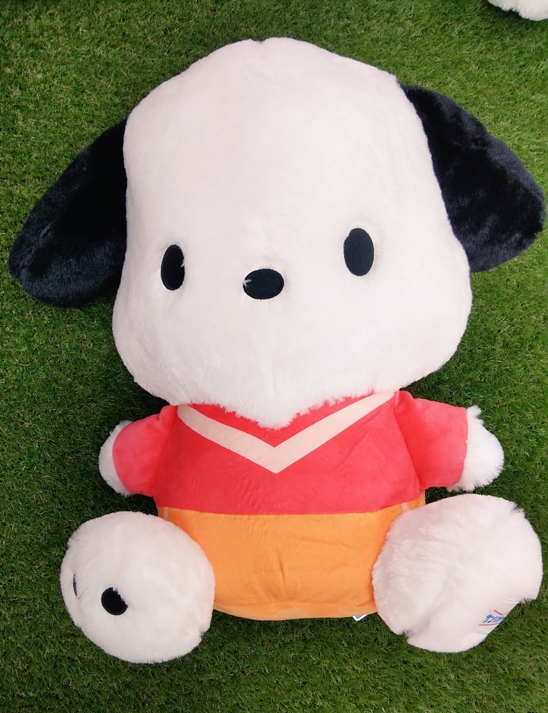 激レア　希少　ポチャミ　超BIG　ぬいぐるみ　特大　ポチャッコ 激レア 希少 ポチャミ 超BIG ぬいぐるみ 特大 ポチャッコ - メルカリ