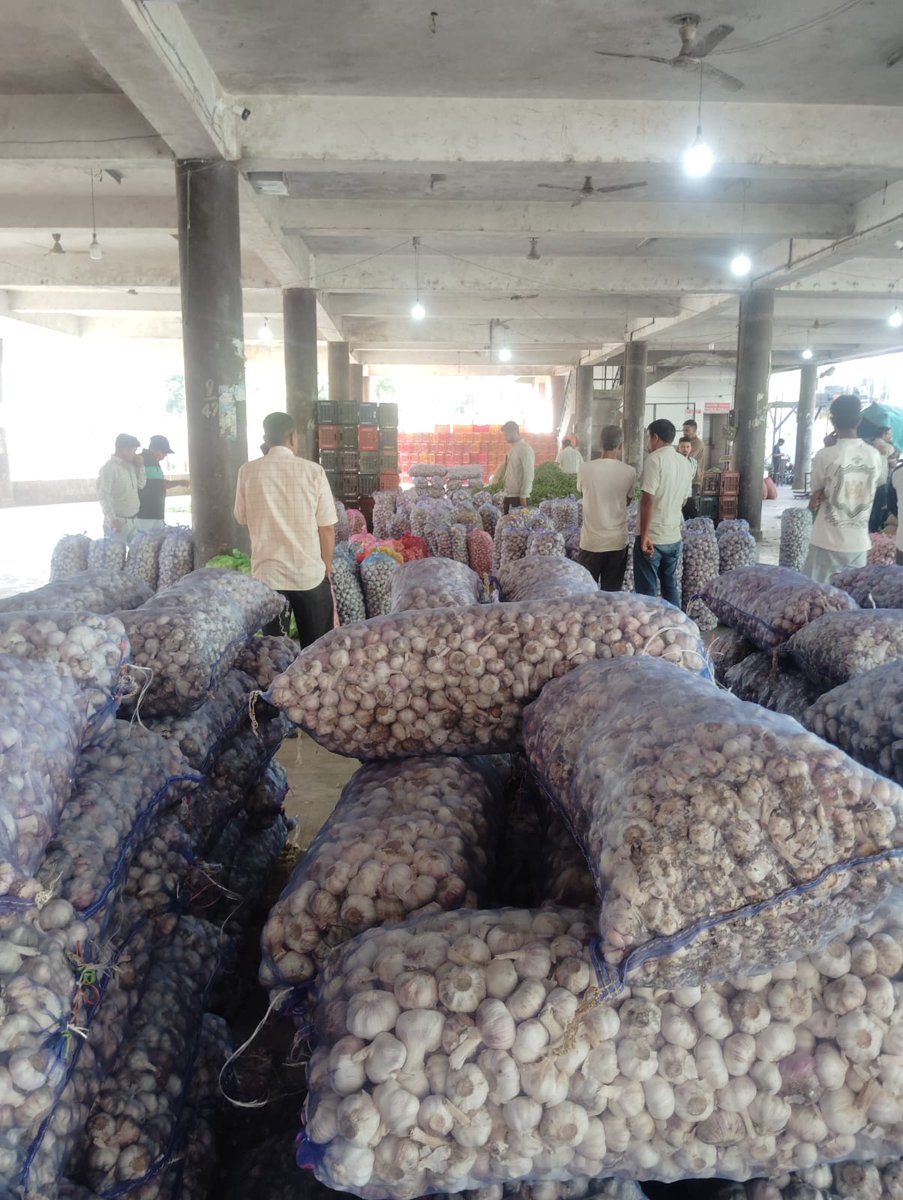 hpsamb's tweet photo. Arrival in APMC Solan #produceofhimachal #hpsamb https://t.co/j8fNDP3XI4