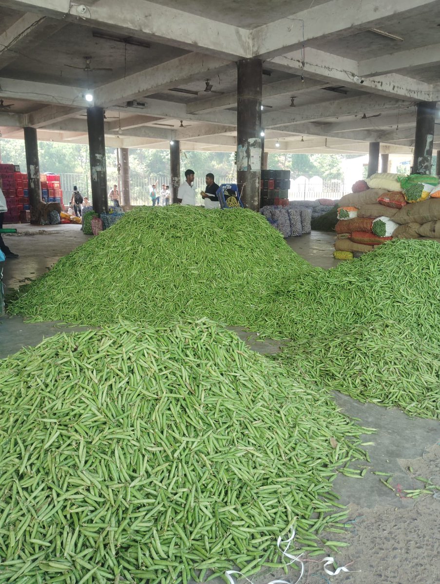 hpsamb's tweet photo. Arrival in APMC Solan #produceofhimachal #hpsamb https://t.co/j8fNDP3XI4