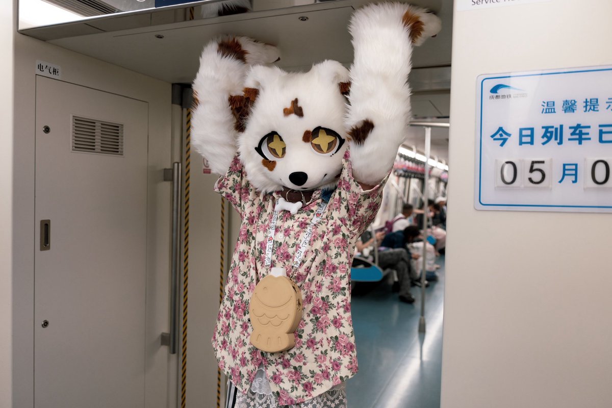 flatwhite0209's tweet photo. 冷知识：地铁能被馥芮双手托举。
📷：依奇
#fursuit #FursuitFriday https://t.co/f2CwWukaUd