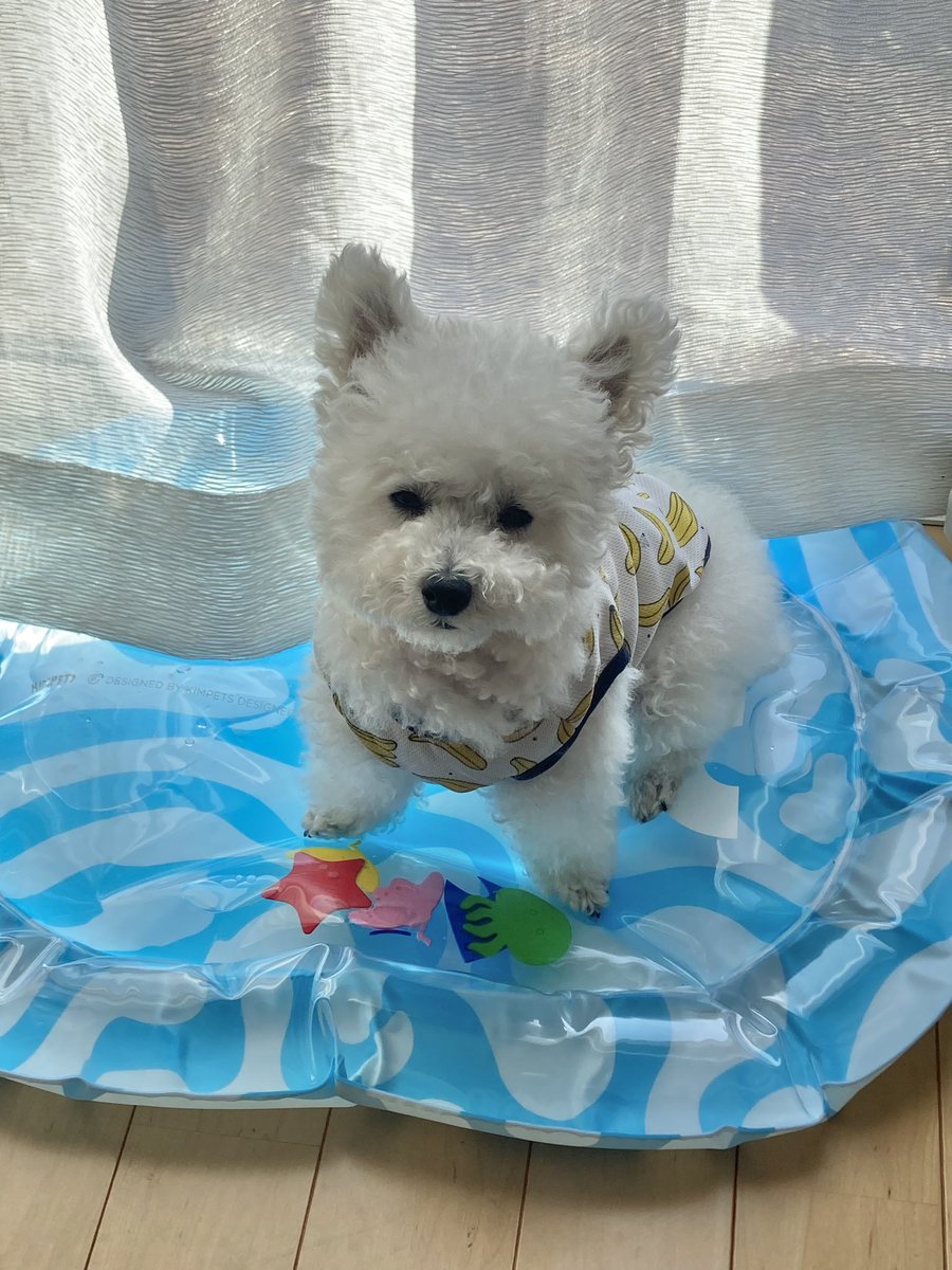 くるるのママ tweet media