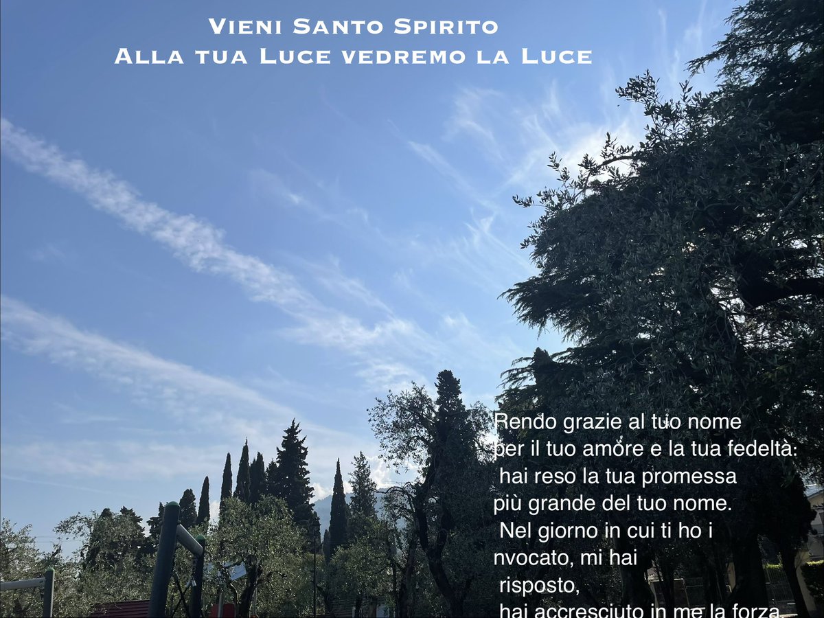 Aldina tweet media