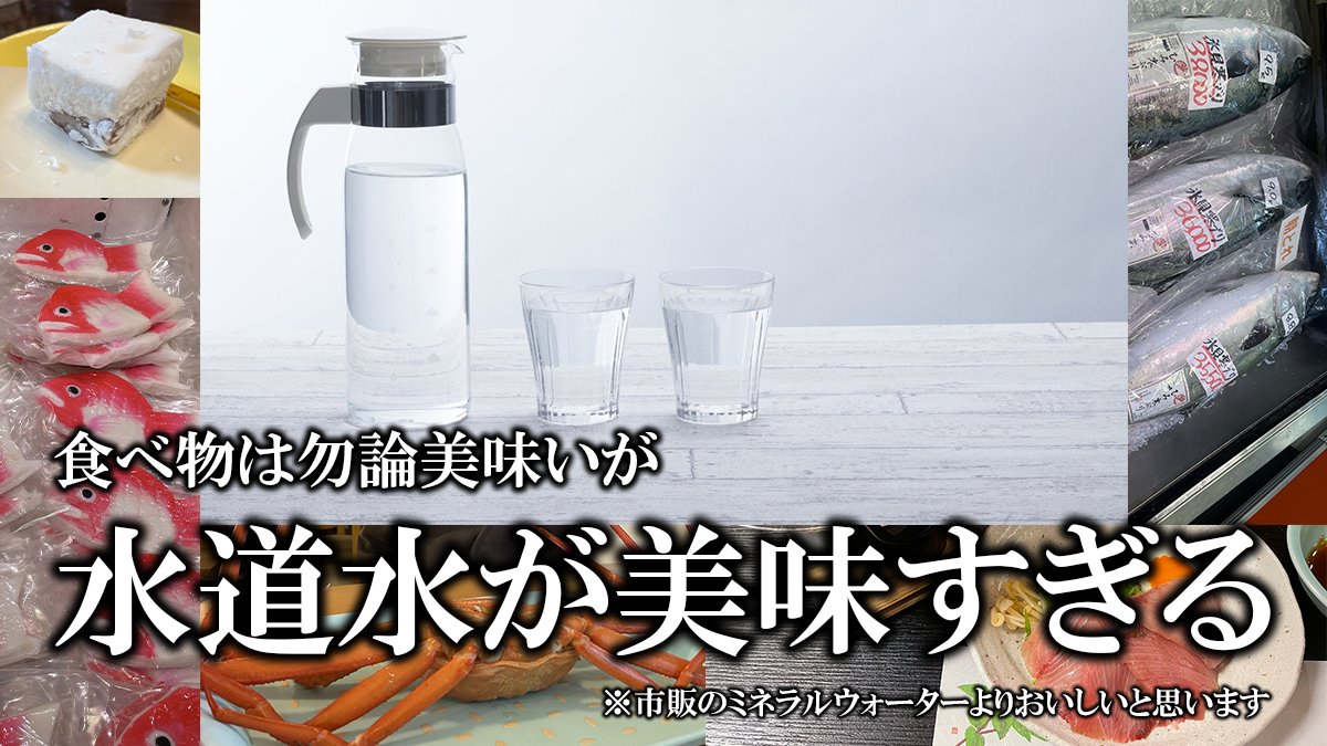 猫憑ノコ🐱 tweet media