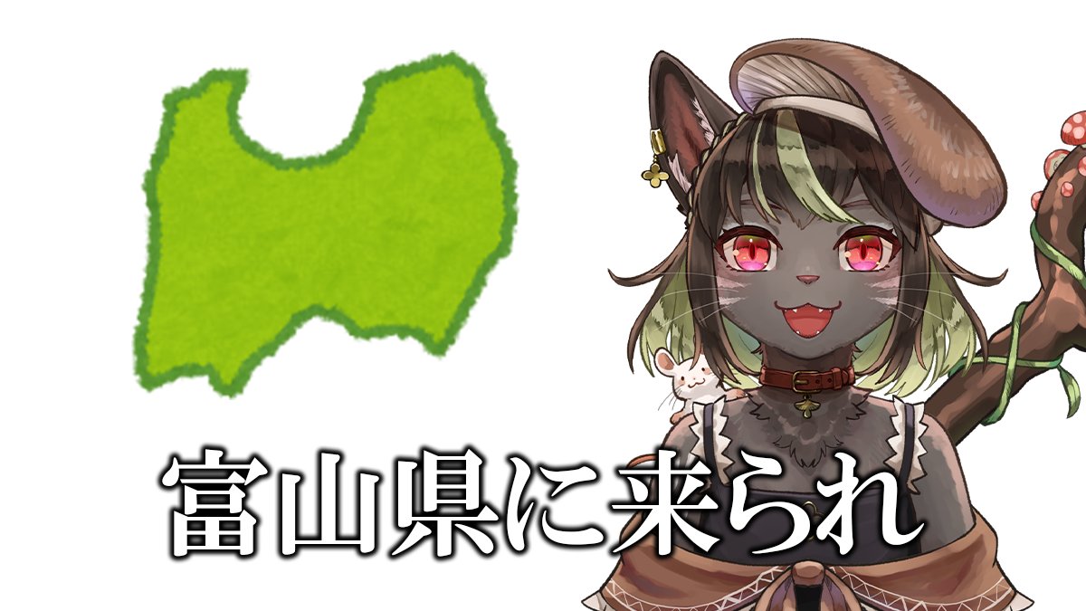猫憑ノコ🐱 tweet media