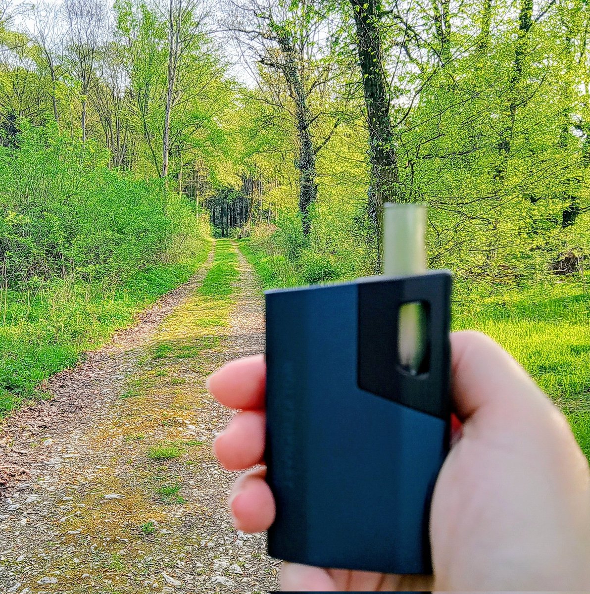 FragJa's tweet photo. Habt alle einen fröhlichen Start ins Wochenende.
Friday ist Highday 💚🥦 überall https://t.co/mmi6IDpkAb