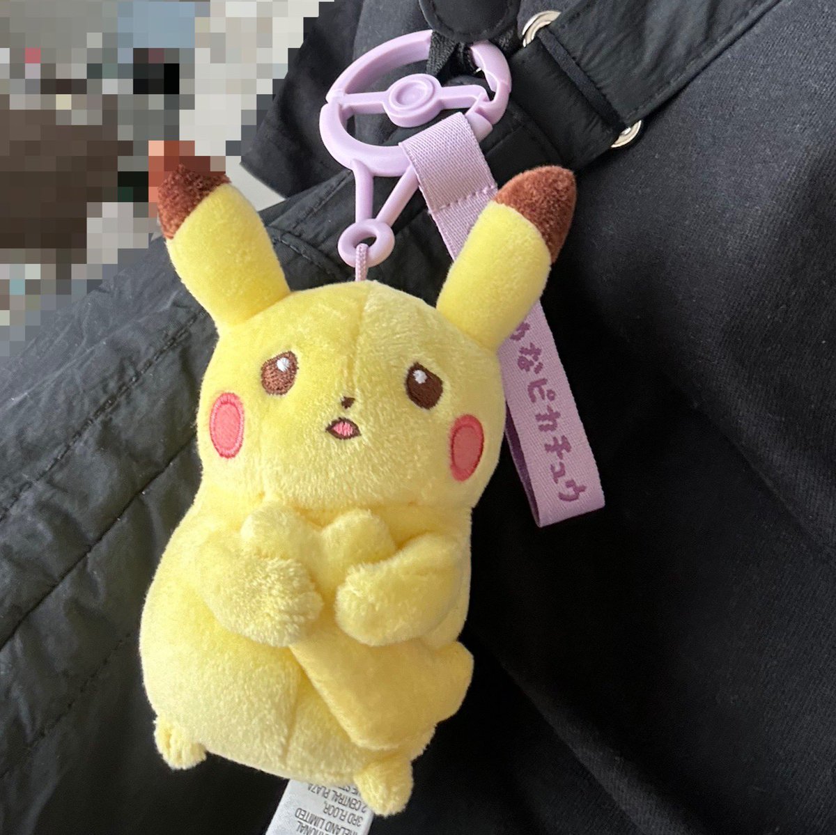 miis_55's tweet photo. 十ポケ十色
私みたいな性格のピカチュウ⚡️o'ᆺ'o⚡️
この子だけポケセンオンラインに在庫があってお迎えできた^^嬉しい https://t.co/Nxtxvu9yj2