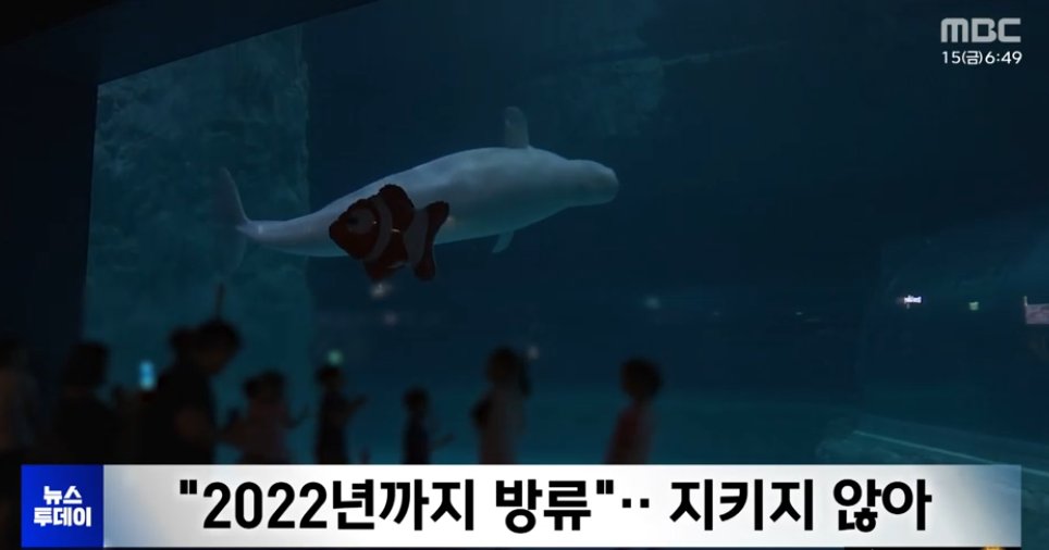 동물복지 봇 tweet media