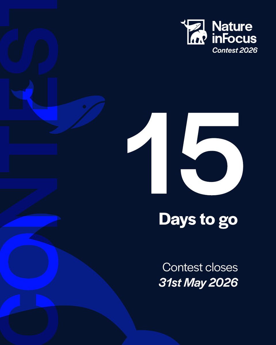 Nature inFocus tweet media