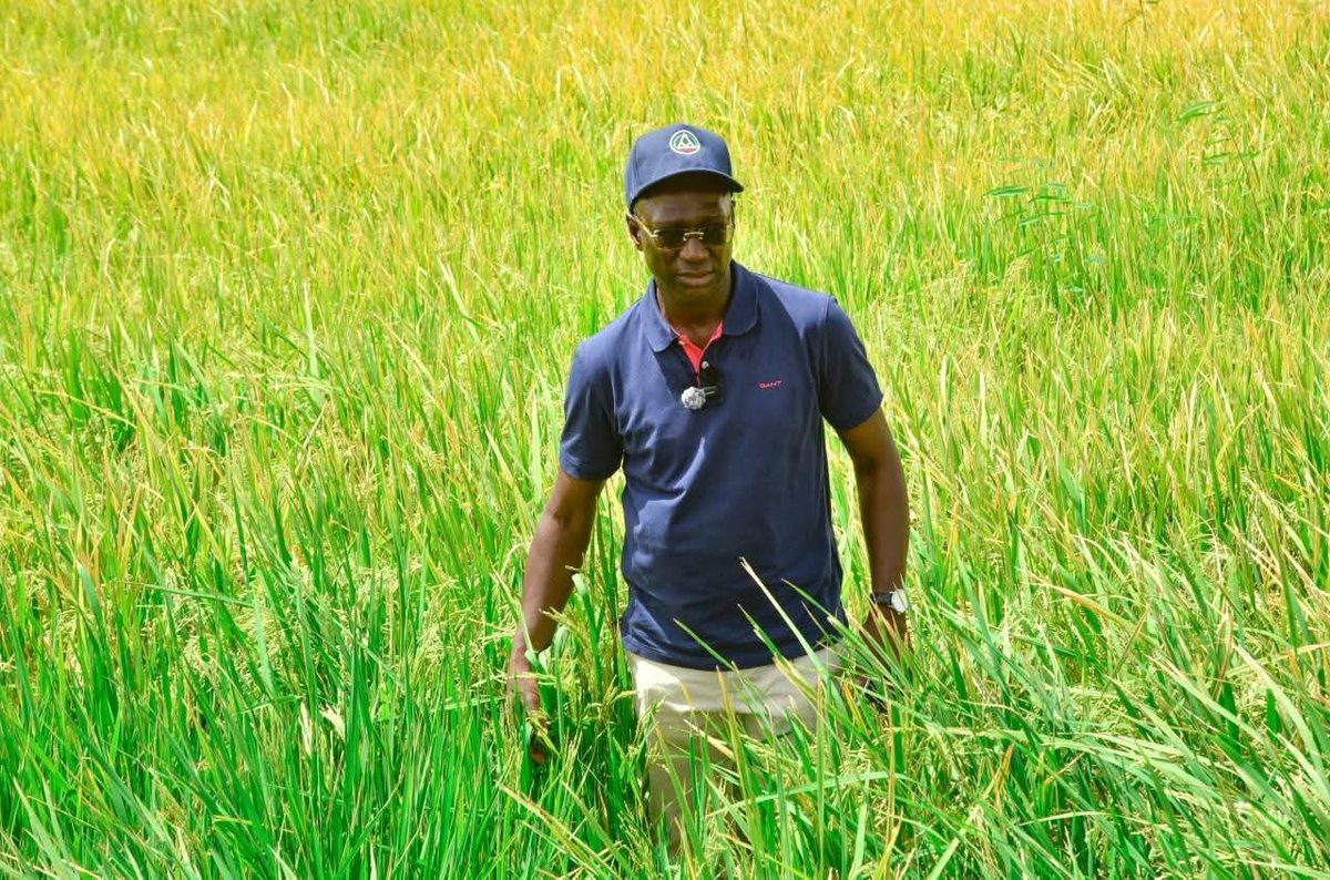 Babacar Ndiaye tweet media