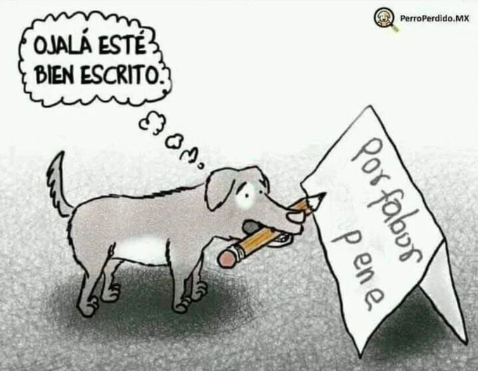 gato gamer tweet media
