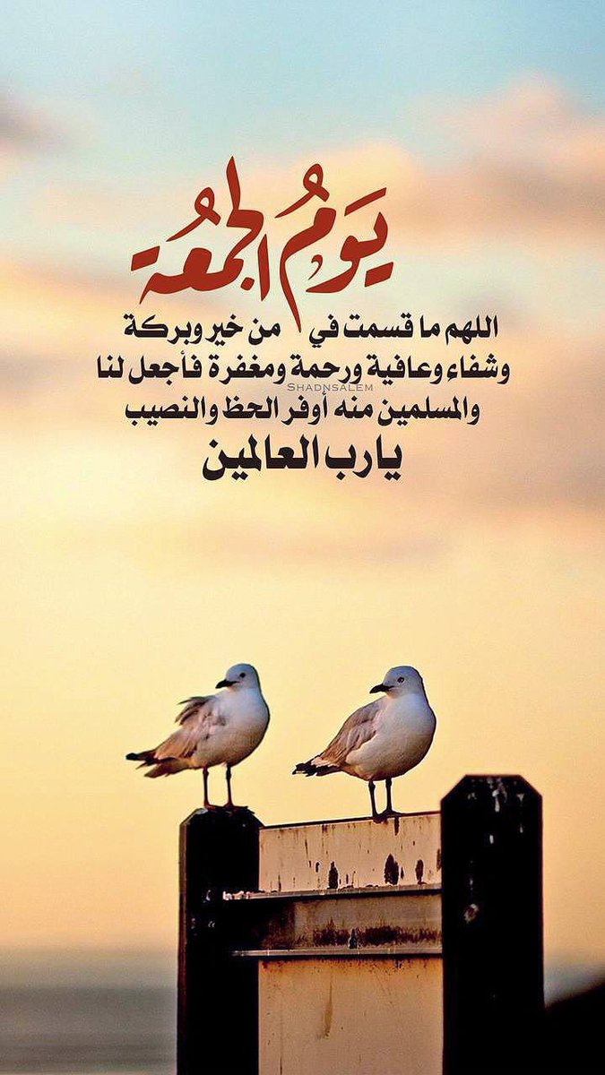 ســعـــد tweet media