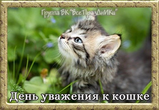 без рта tweet media