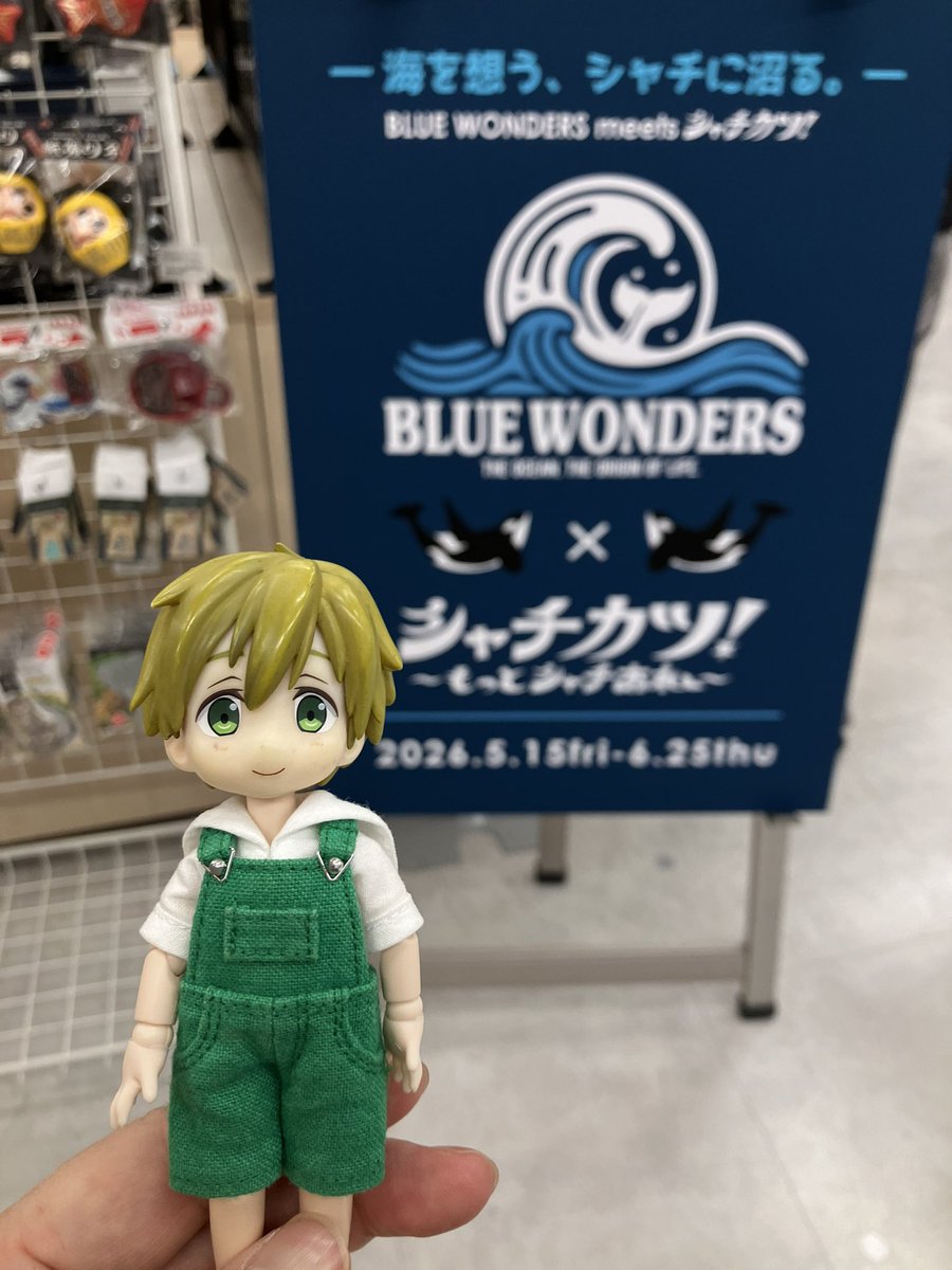 豆太郎🏊🐟 (@askamine) / Posts / X