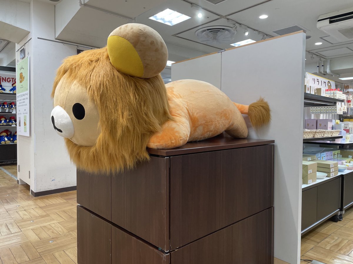 연둥이 tweet media