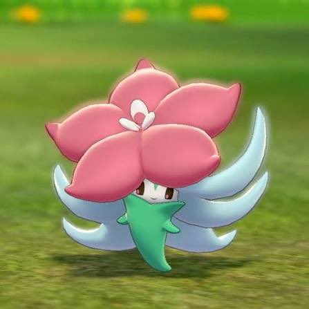 Mexican Kommo-o tweet media