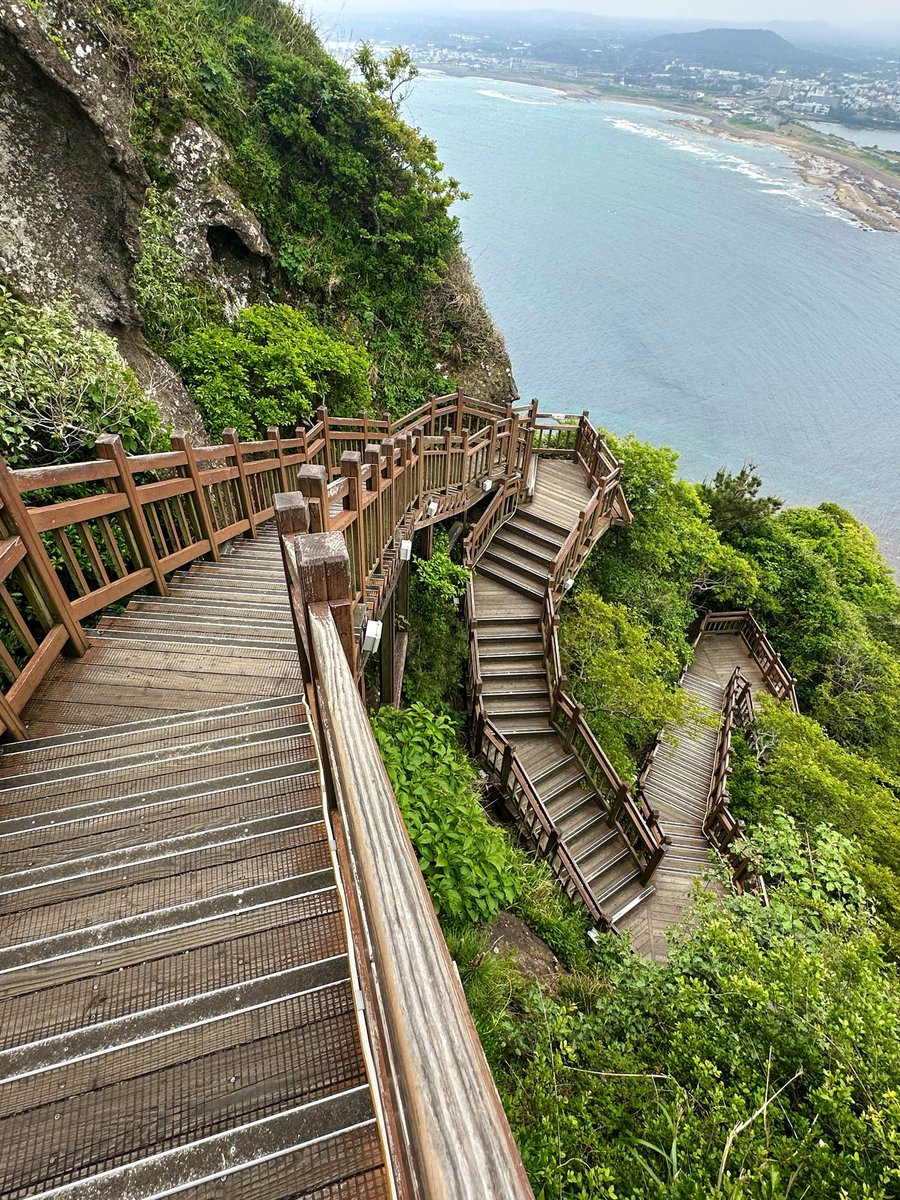 blocaus00's tweet photo. Avui … Seongsan Ilchulbong (Pic del Sol Naixent)
Costa  est de l'illa de Jeju, a 🇰🇷 . Monument  geològic , Patrimoni de la Humanitat per la UNESCO.
+ cràter interior de Seongsan Ilchulbong vist des de la plataforma d'observació del cim. 
Detall ( uns 500 graons de pujada) https://t.co/57NxQW0KDl