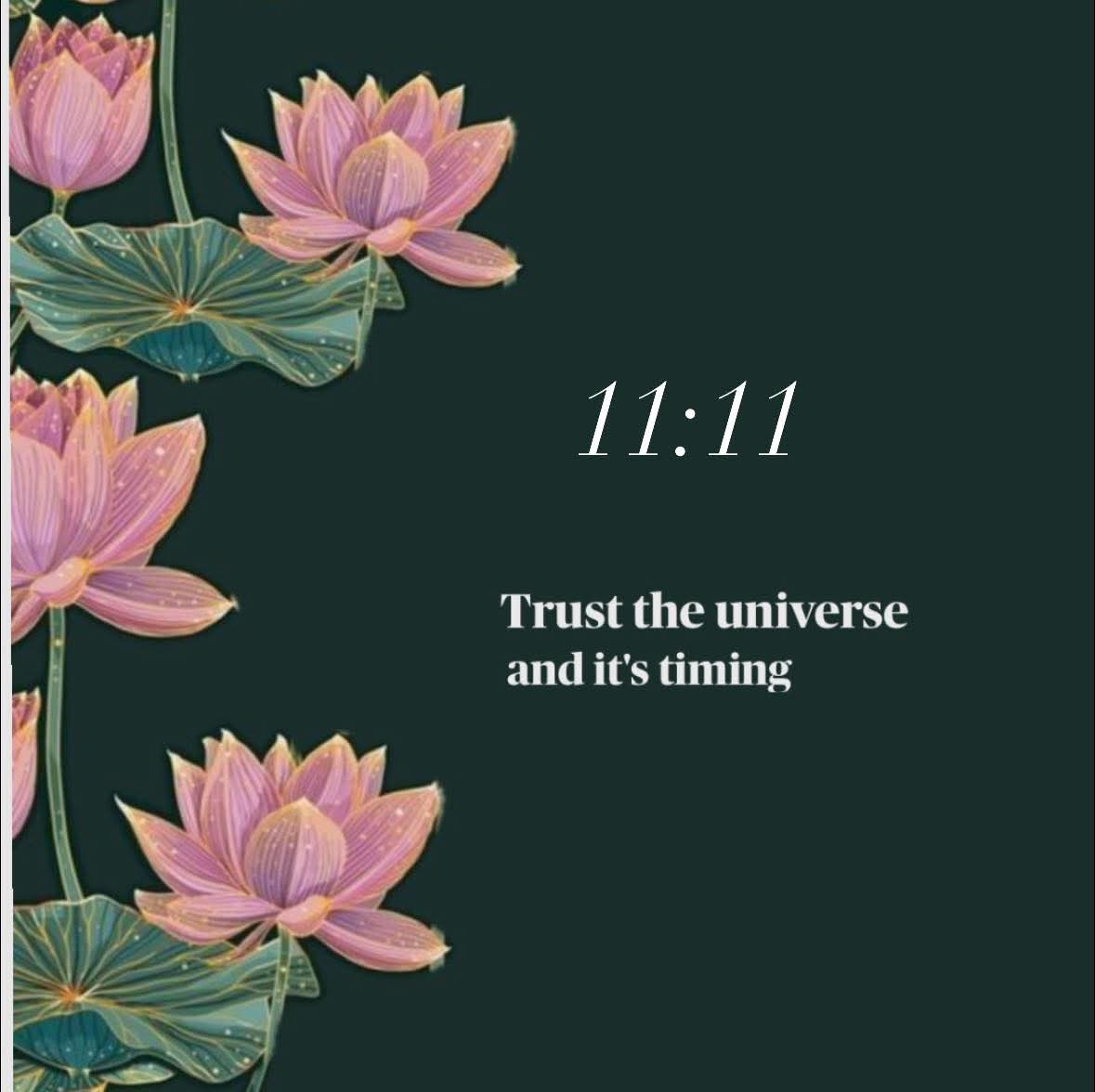 Manifest Your Higher Self💫 tweet media