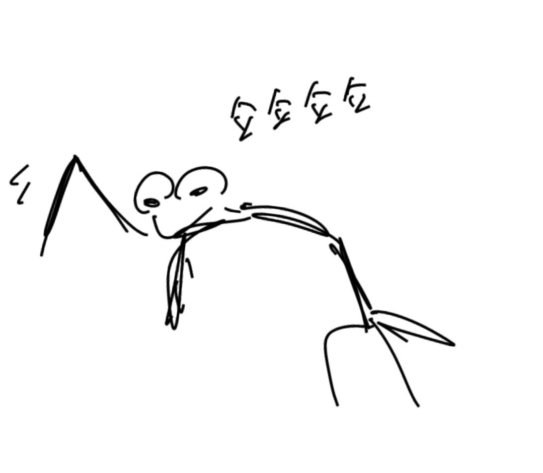 연 tweet media