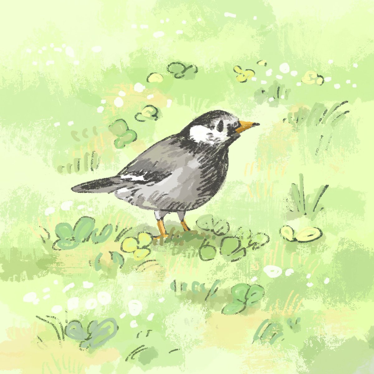 わっふ、絵描き tweet media