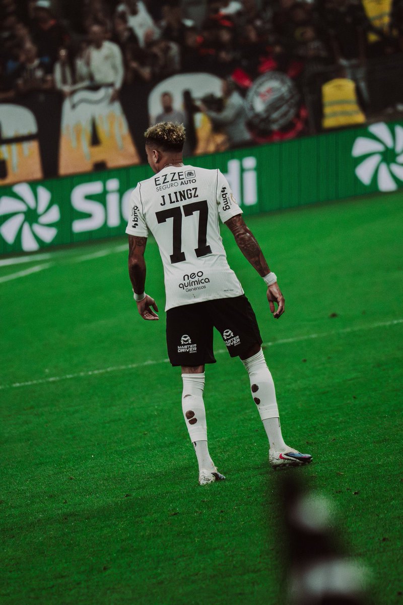 (fan) Frank 🧠🇾🇪 tweet media