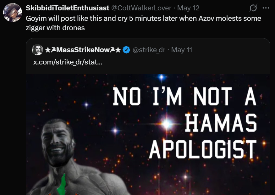 SkibbidiToiletEnthusiast tweet media