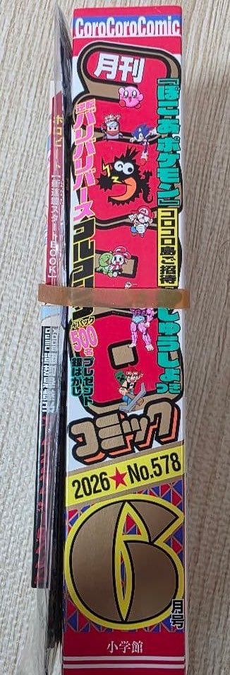 スポンジ🧽 tweet media
