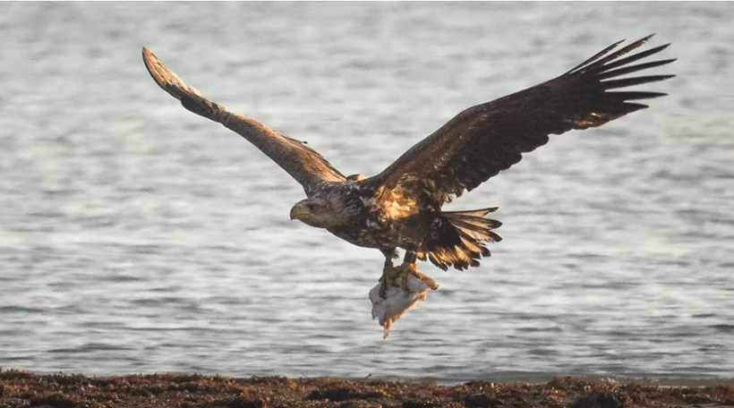Exmoor National Park tweet media
