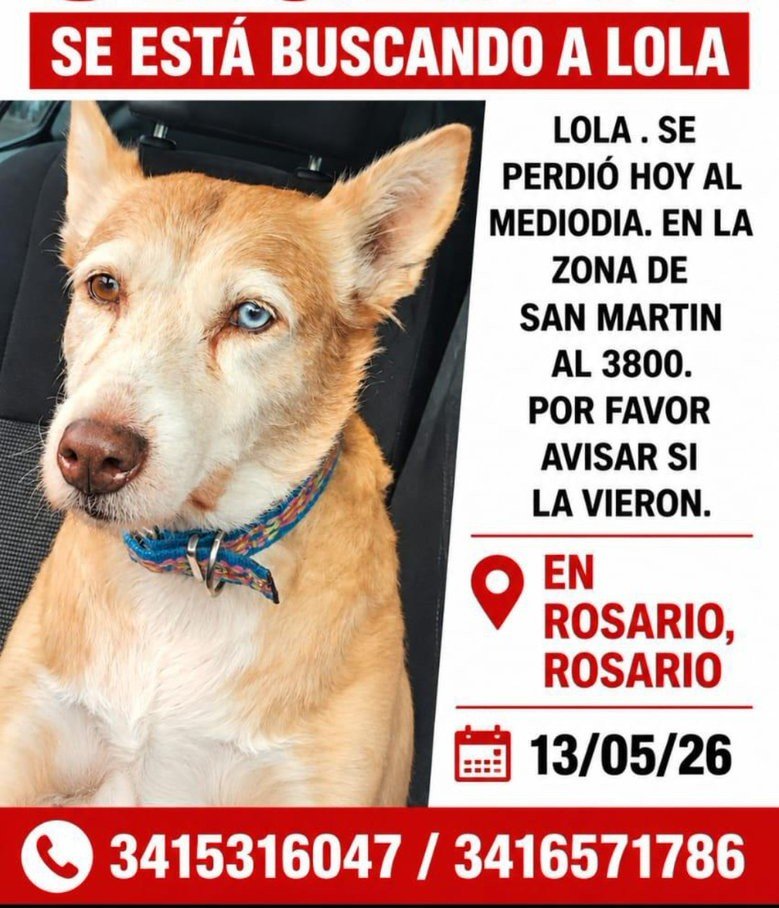 RosarioLaCiudad tweet media