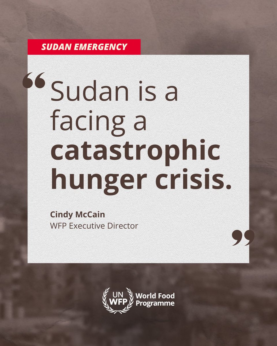 Cindy McCain tweet media