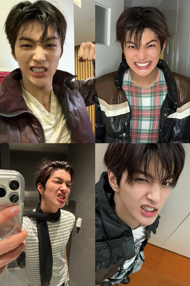 디.. tweet media