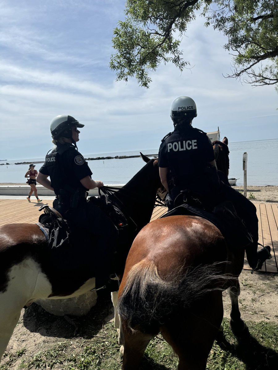 Toronto Police Mounted Unit tweet media