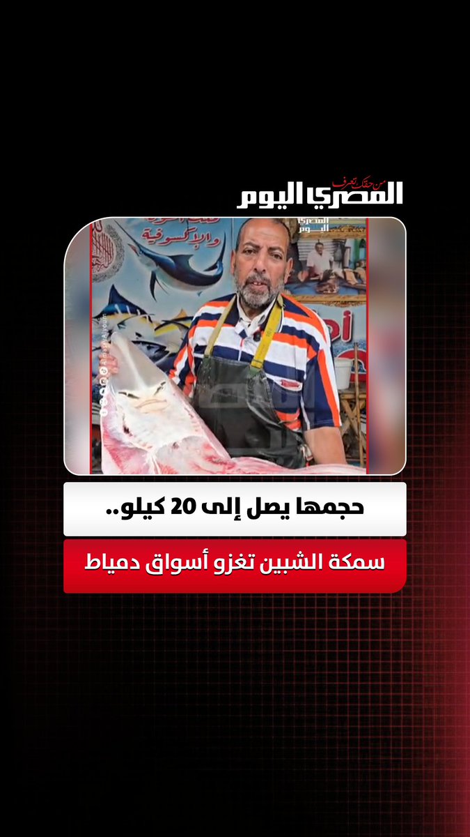 حجمها يصل إلى 20 كيلو.. سمكة الشبين تغزو أسواق دمياط. تصوير: تيسير حسن 
