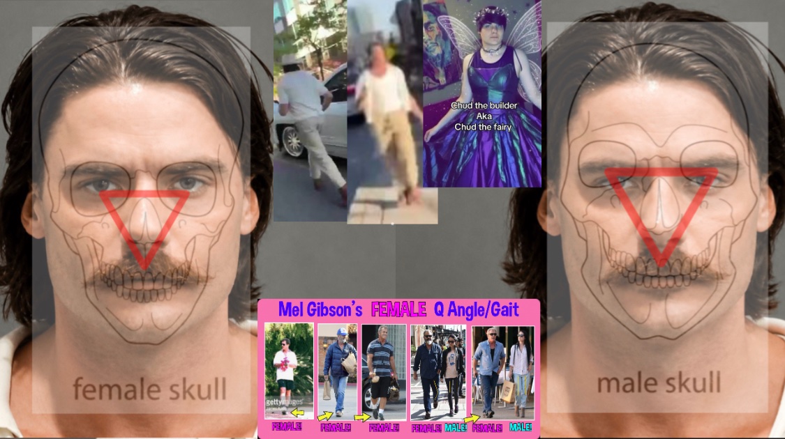 FTM & MTF Forensics tweet media
